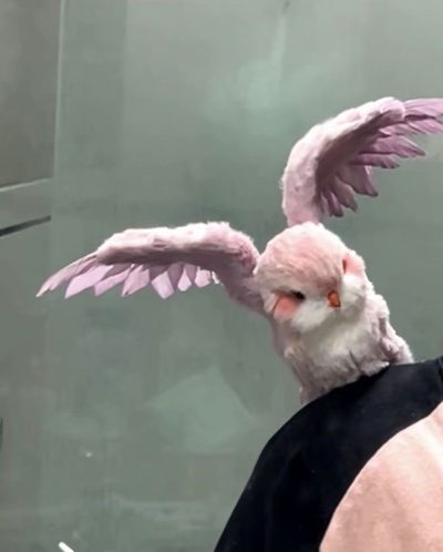 YourSmallDoll Nackt 15235