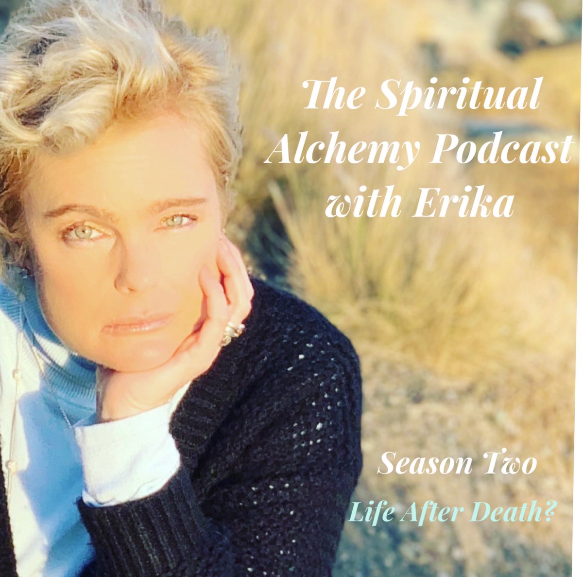 Erika Eleniak Desnuda 8588