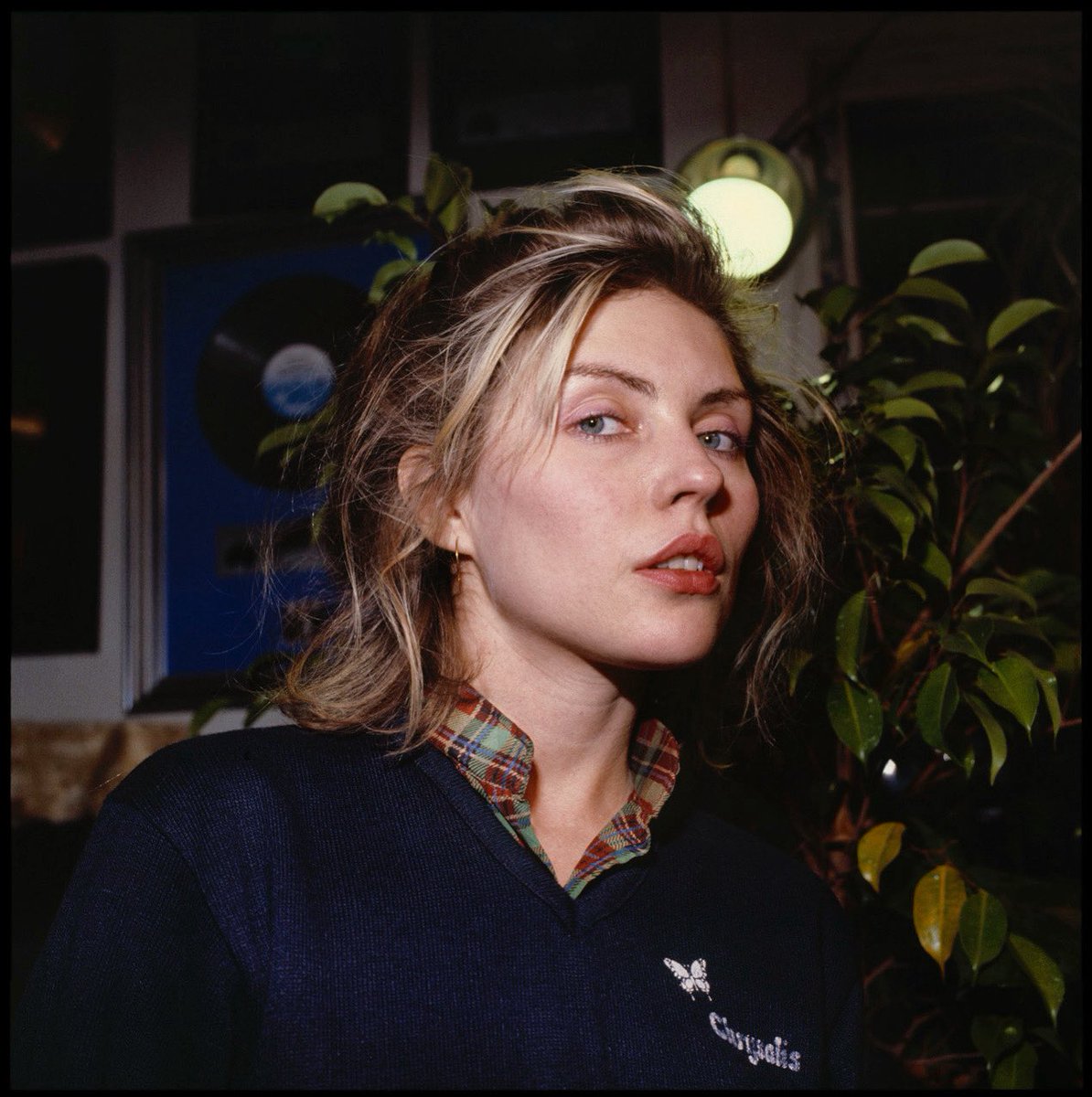 Debbie Harry Nackt 4844