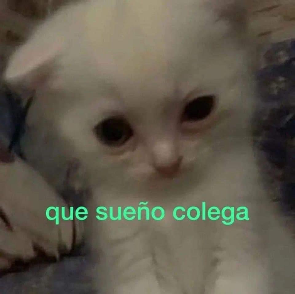 Elenita Forger Nackt 4023