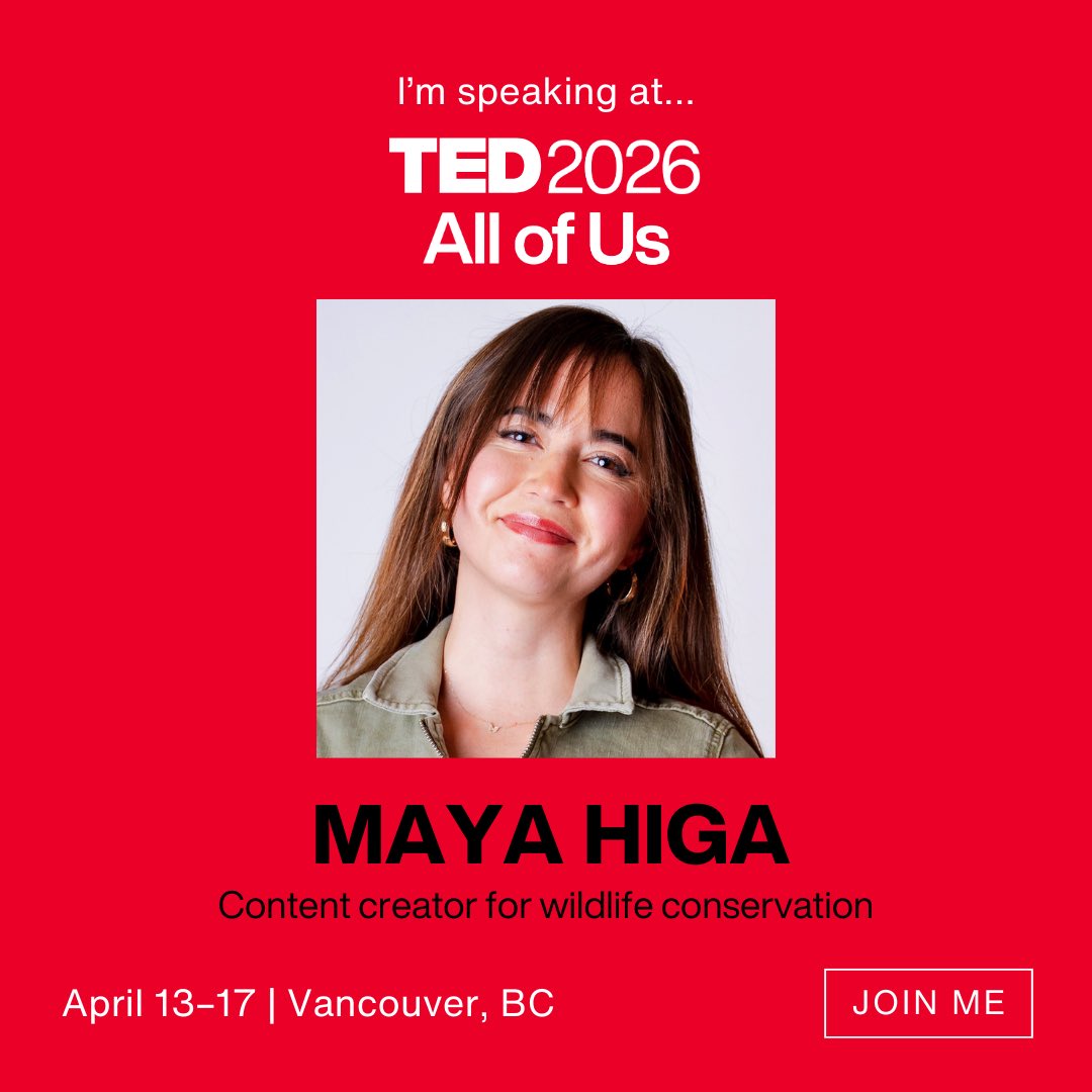Maya Higa Nackt 1702