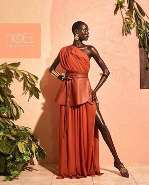 Ajak Deng nude 2