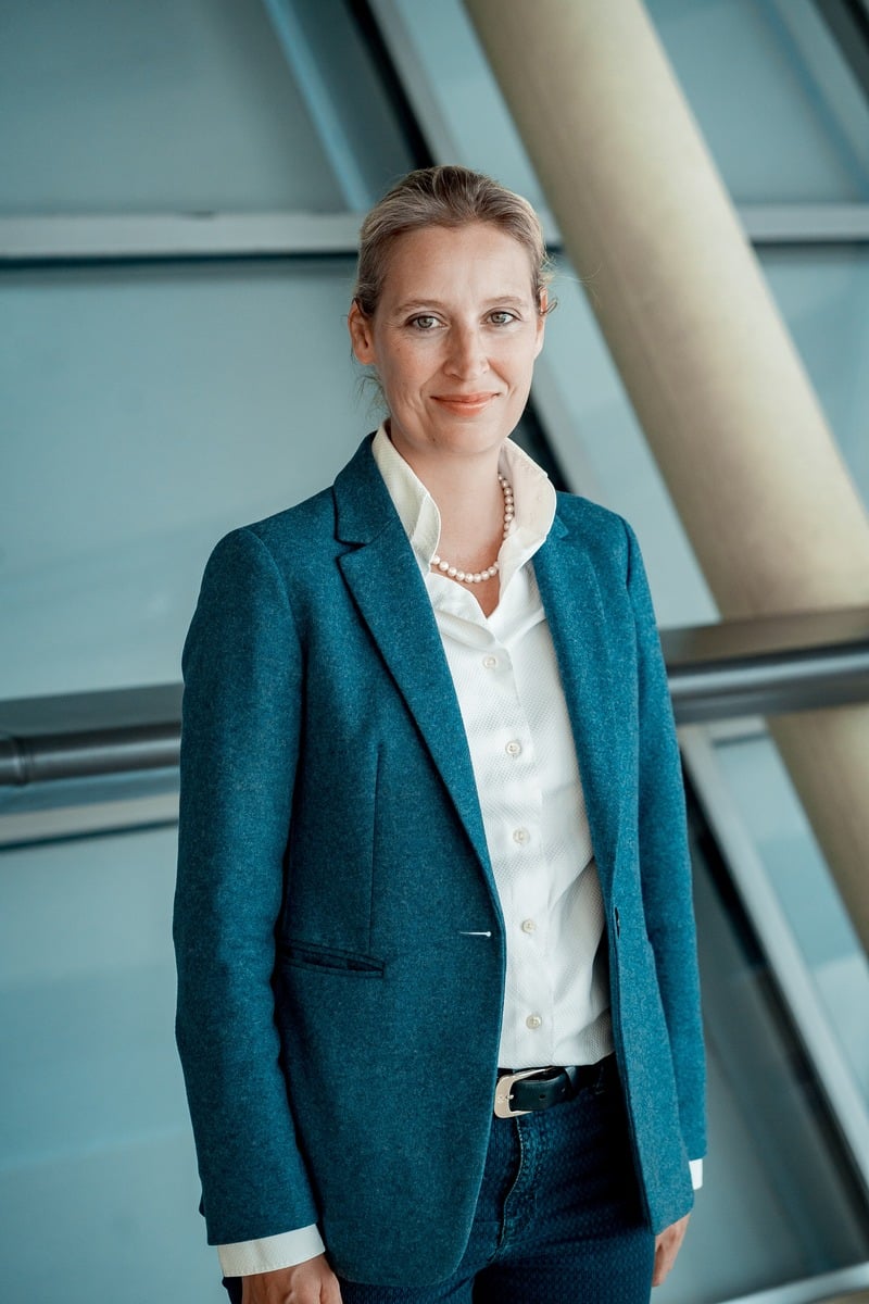 Alice Weidel nude 3