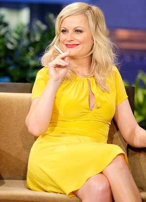 Amy Poehler nude 11