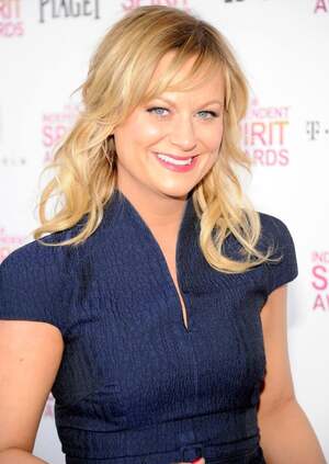 Amy Poehler nude 8