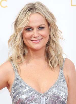 Amy Poehler nude 9