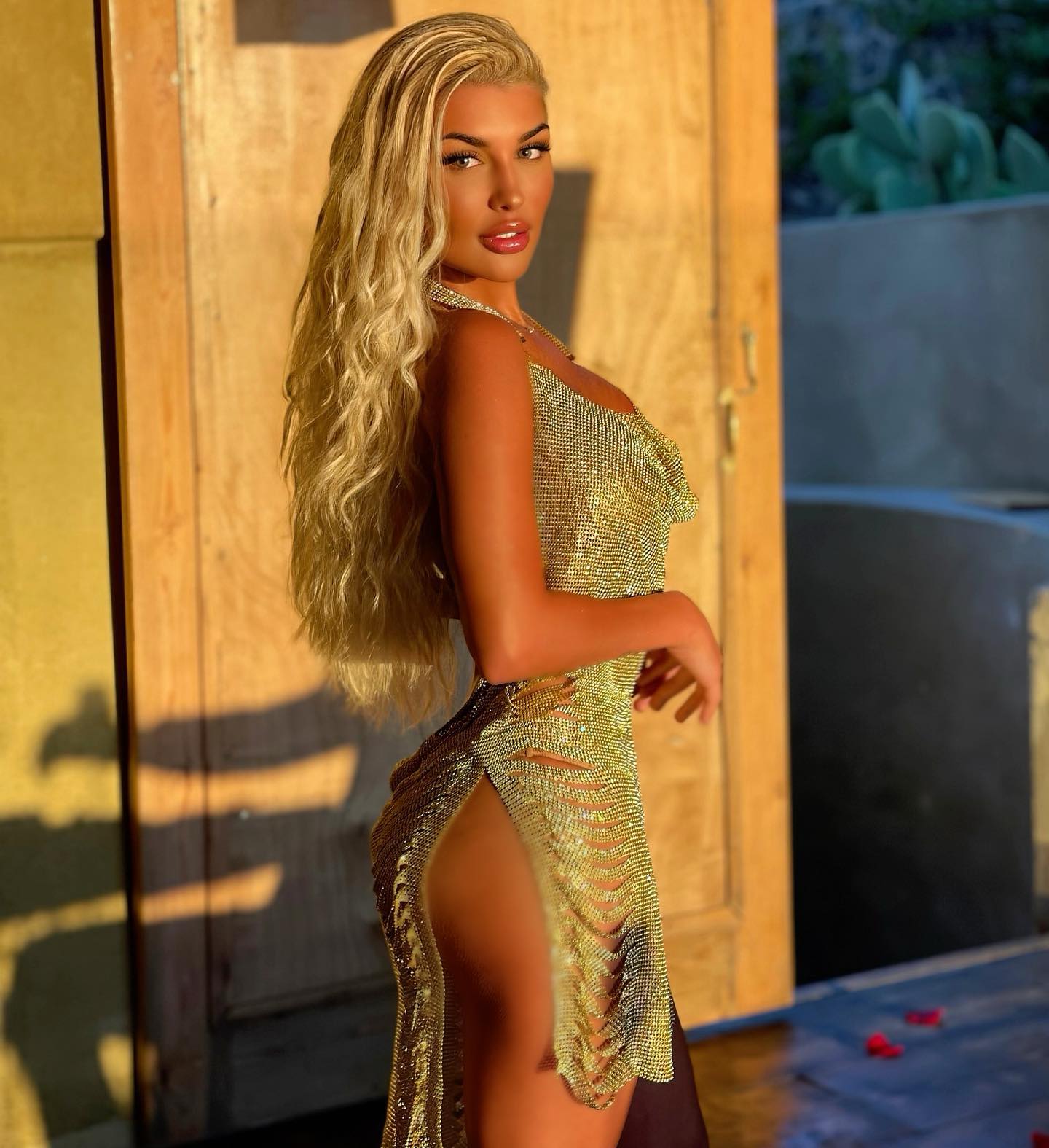 Anne Marie Monroe nude 5