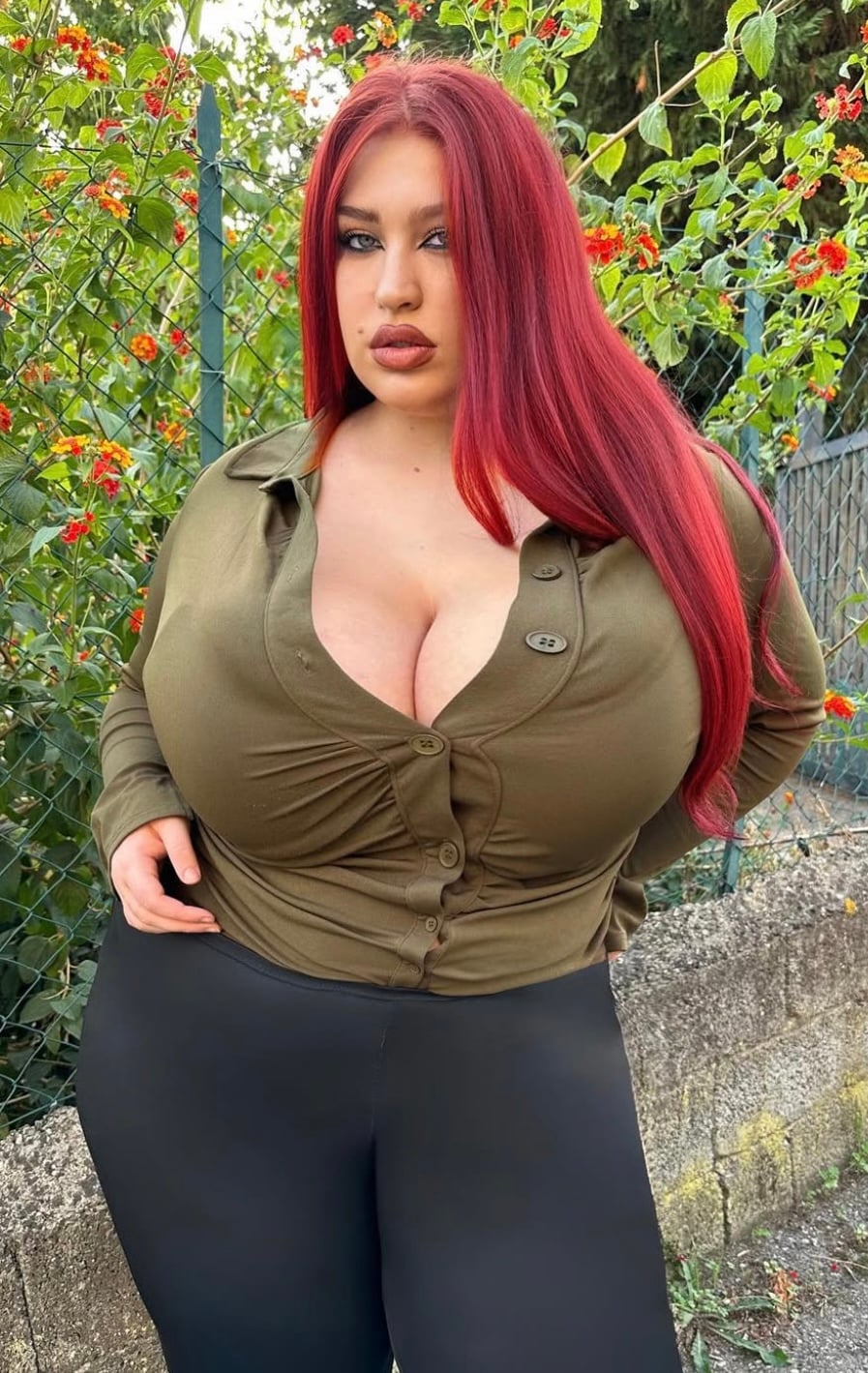 Ariel 27
