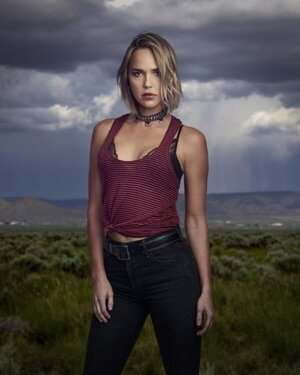 Arielle Kebbel nude 12