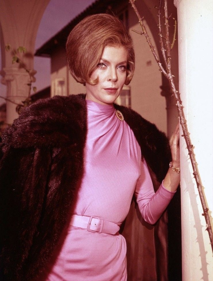 Barbara Bain nude 10