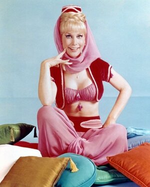 Barbara Eden nude 1