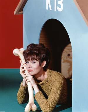 Barbara Feldon nude 11