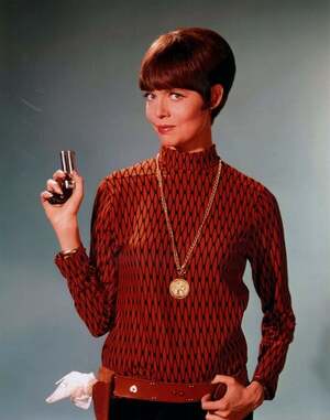 Barbara Feldon nude 3