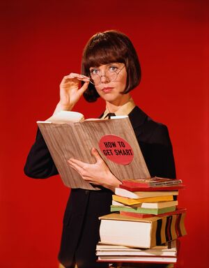 Barbara Feldon nude 4
