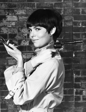 Barbara Feldon nude 5