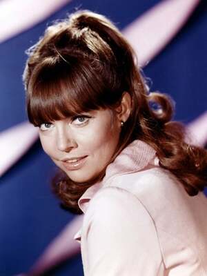 Barbara Feldon nude 7