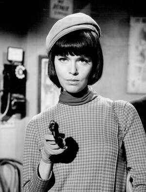 Barbara Feldon nude 8