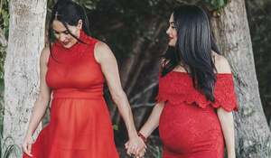 Bella Twins nude 10