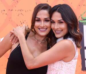 Bella Twins nude 11