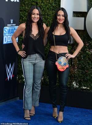 Bella Twins nude 4