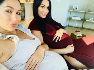 Bella Twins nude 6