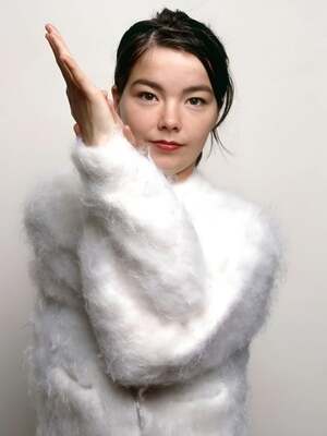 Bjork nude 12