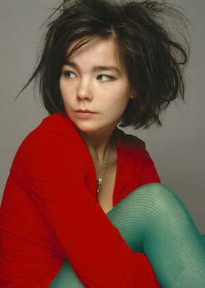 Bjork nude 5