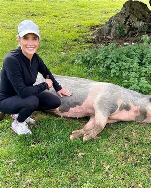 Dana Perino nude 6