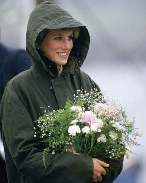 Diana Spencer nude 12