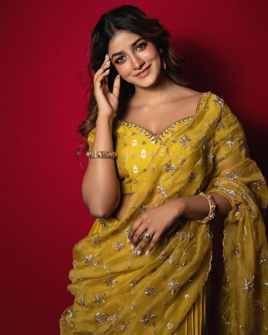 Dimple Hayathi nude 12