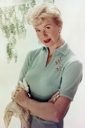 Doris Day nude 11