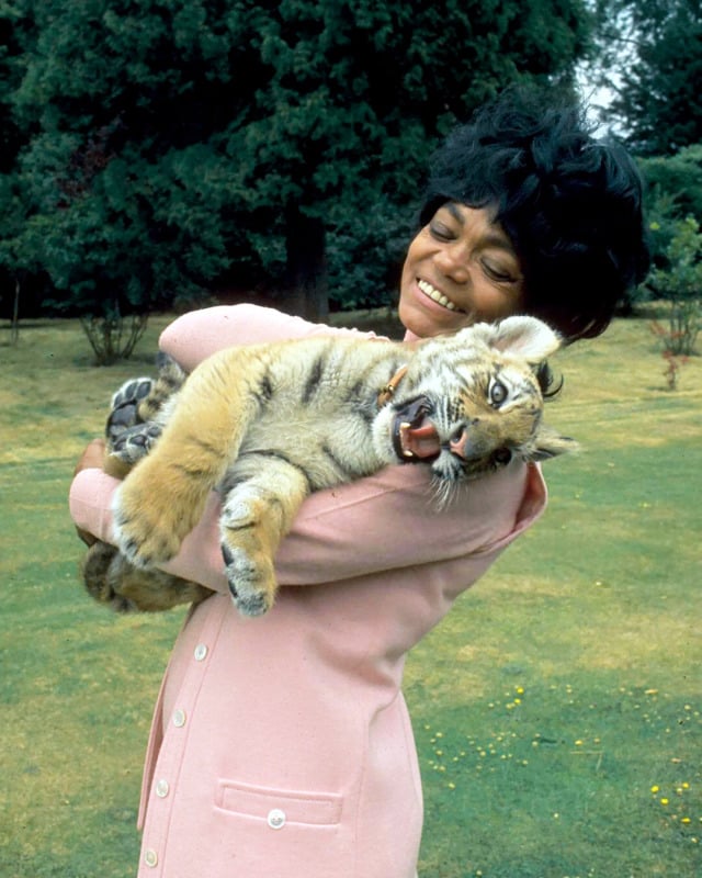 Eartha Kitt nude 5