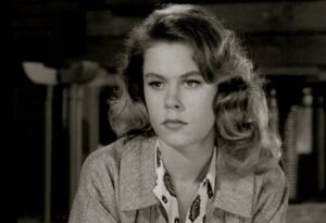 Elizabeth Montgomery nude 7