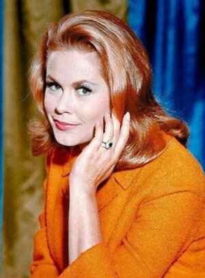Elizabeth Montgomery nude 8