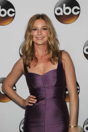 Emily VanCamp nude 9