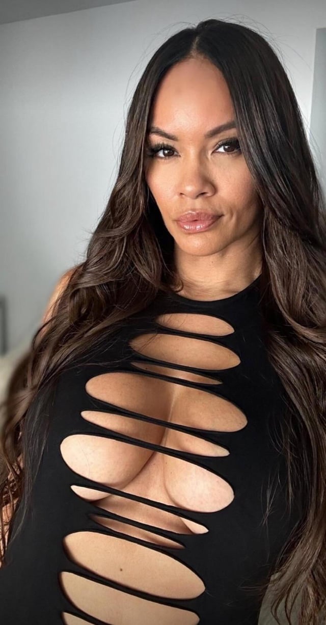Evelyn Lozada nude 4