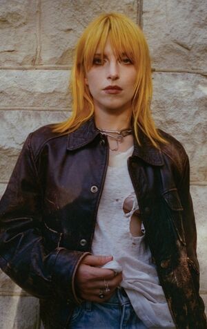 Hayley Williams nude 12