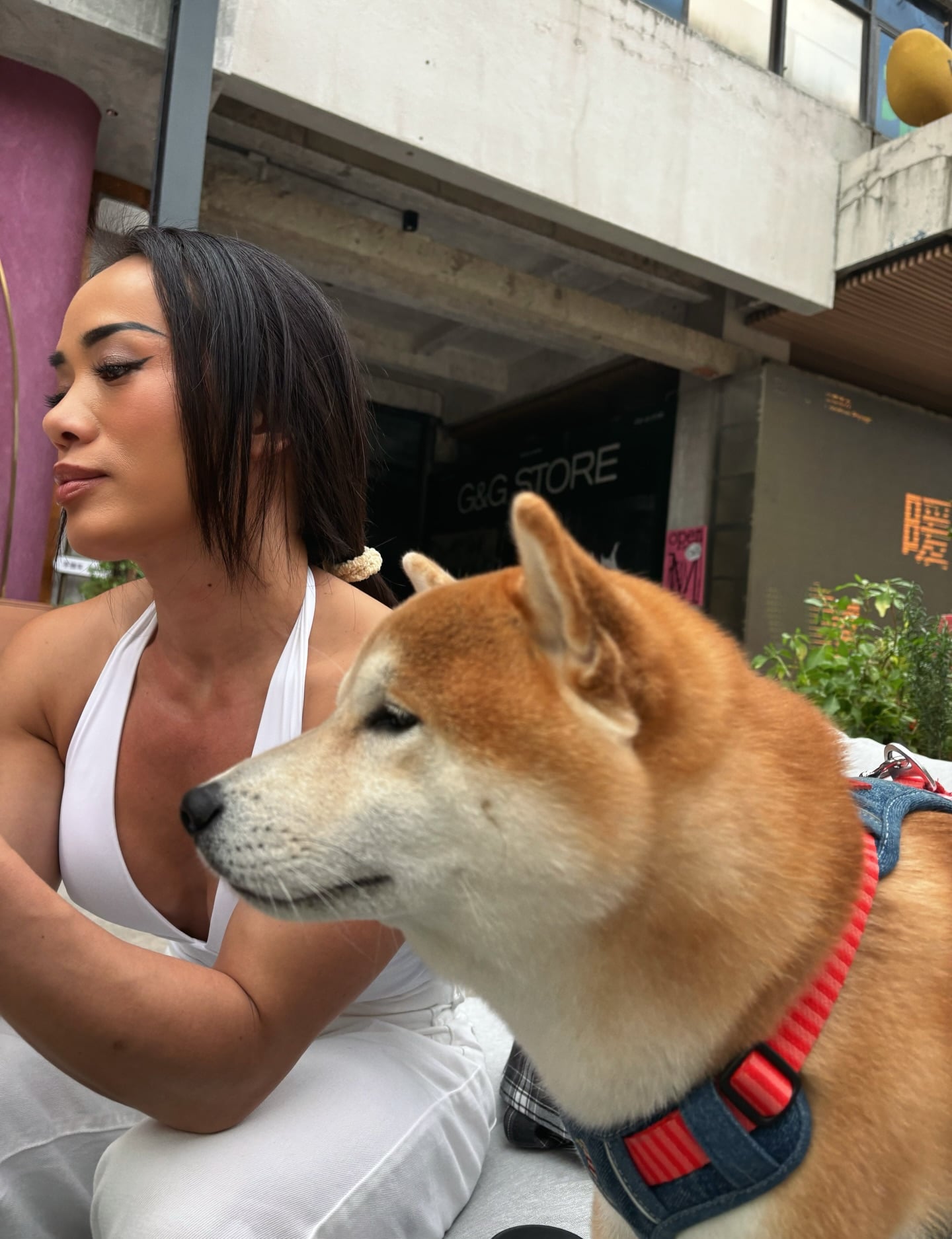 Ivy Liu nude 9