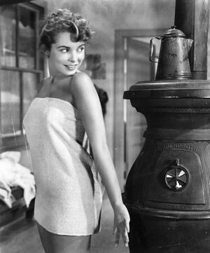 Janet Leigh nude 8