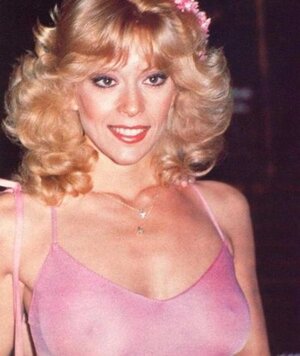 Judy Landers nude 5