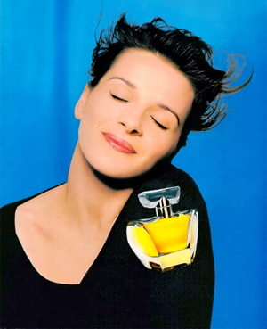 Juliette Binoche nude 7