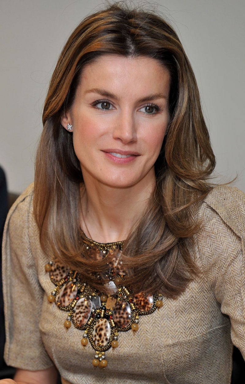 Letizia Ortiz Rocasolano nude 5