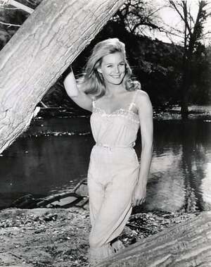 Linda Evans nude 2