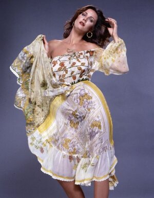 Lynda Carter nude 3
