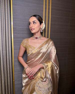 Manushi Chhillar nude 6