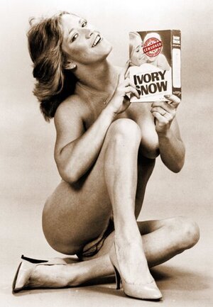 Marilyn Chambers nude 11