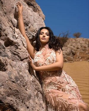 Meenakshi Chaudhary nude 1