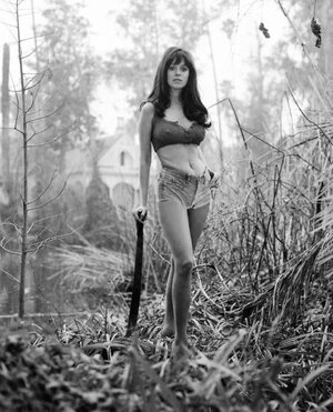Phyllis Davis nude 6