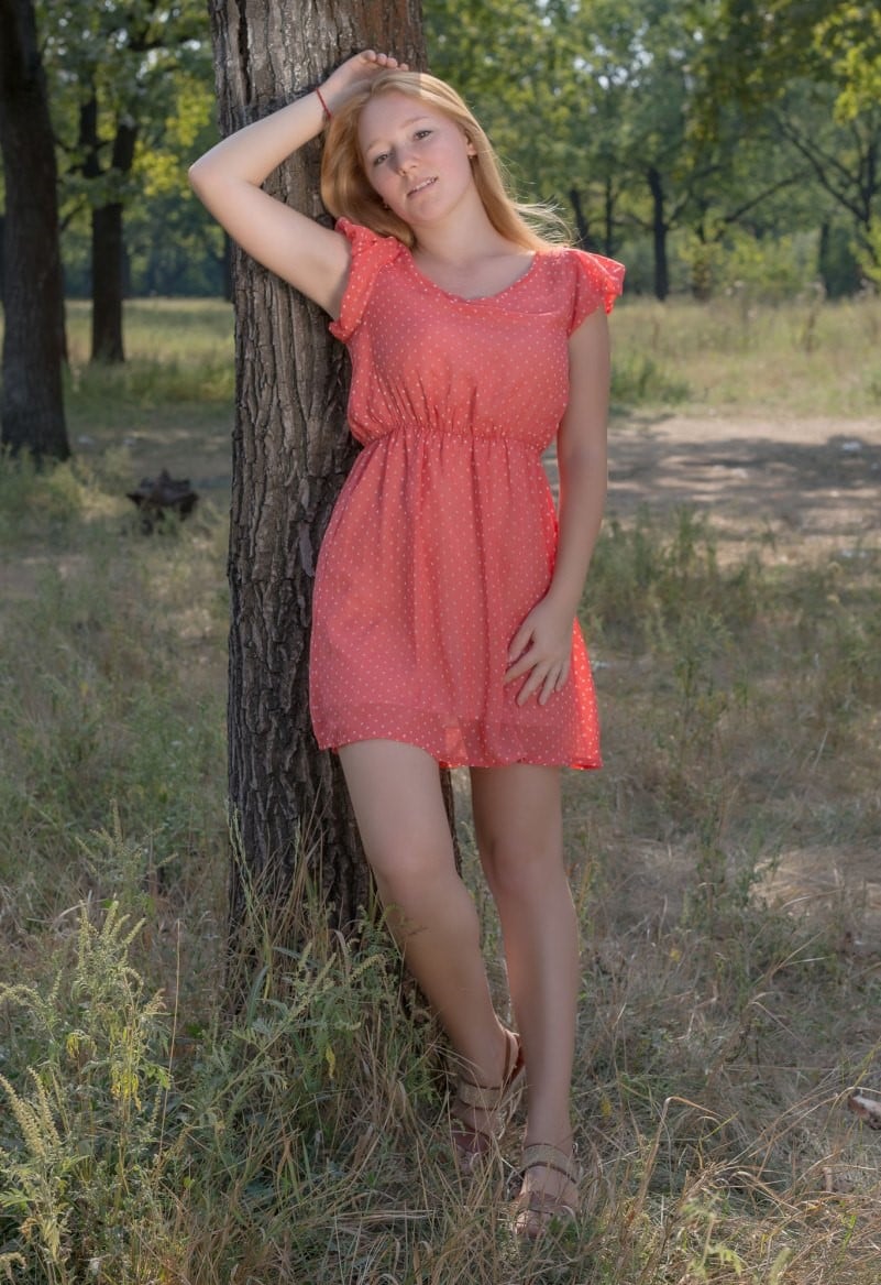 Red Cat