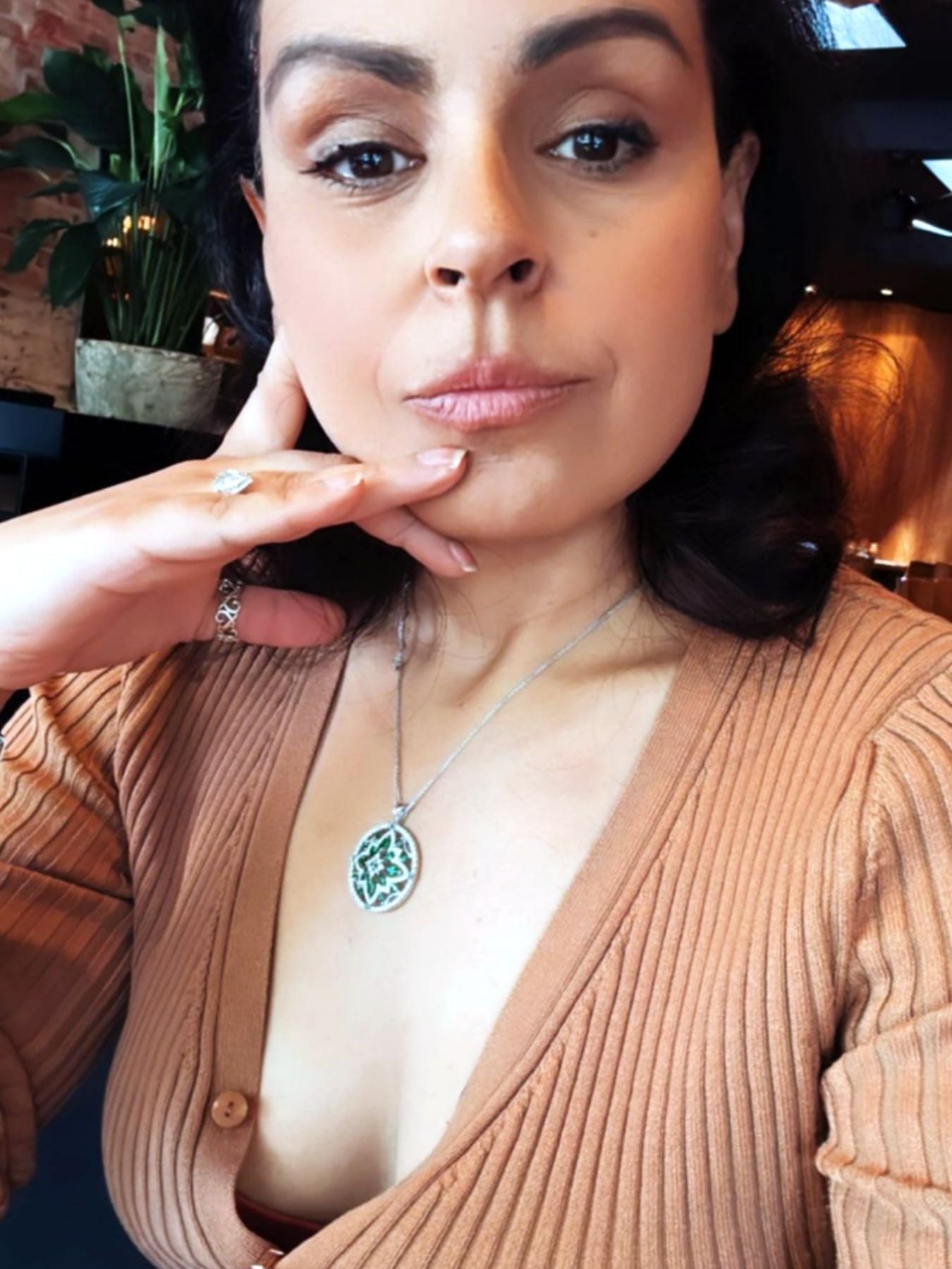 Rita Panahi nude 3